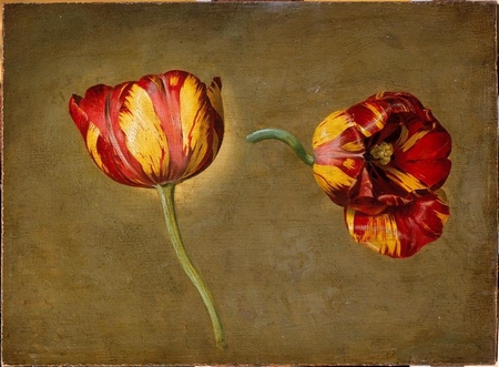 Antoine Berjon, Double étude de tulipes, musée d’Orsay.jpg