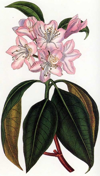 120206_curtis.jpg