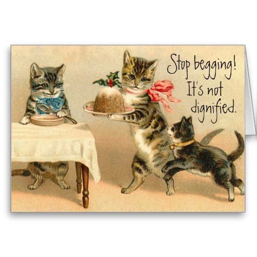 carte_de_noel_vintage_drole_de_chat-r1e75cef3b36f47128f844493c72a544e_xvuak_8byvr_512.jpg