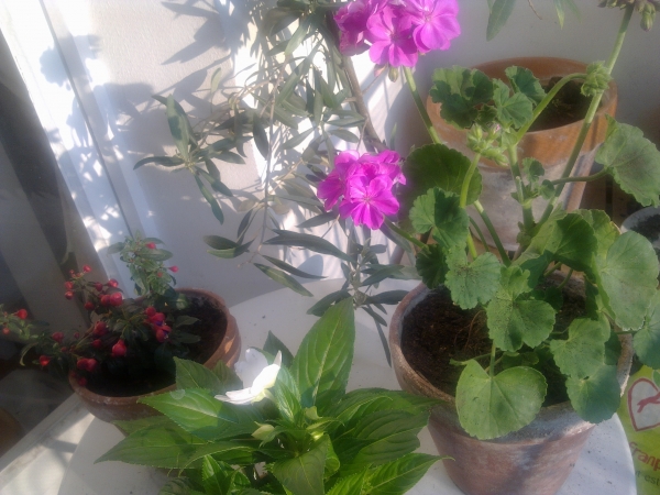 060520132099.jpg