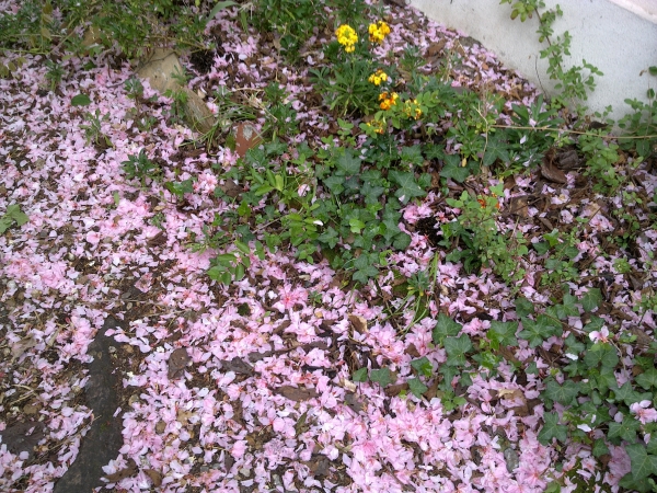 010520132039.jpg