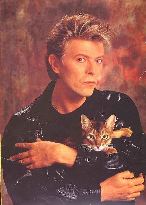 David-Bowie.jpeg