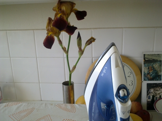 050620132310.jpg