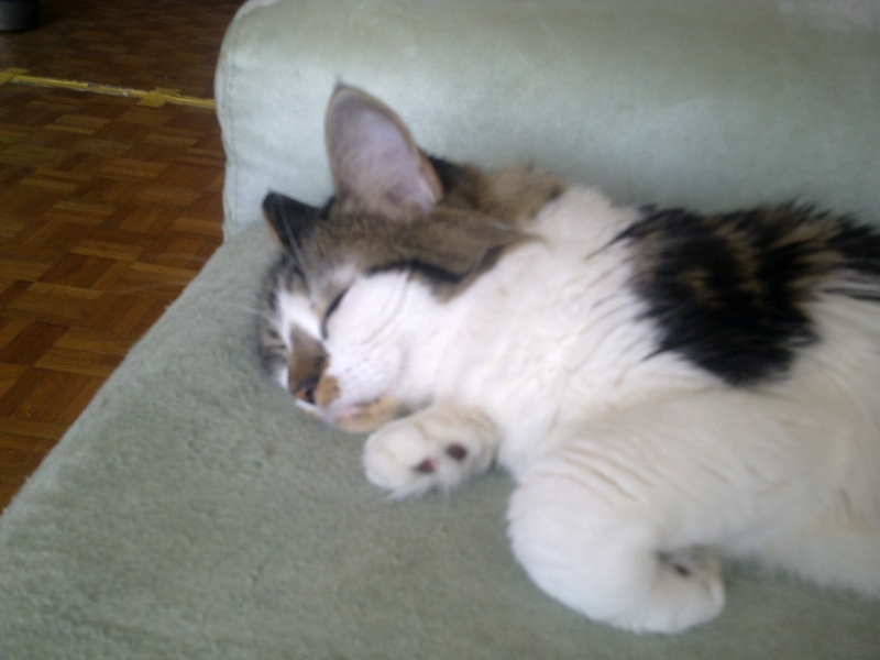 080620132325.jpg