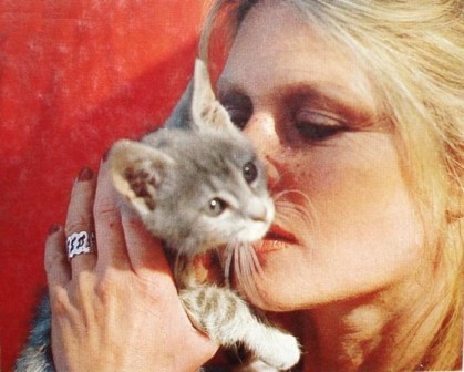 Brigitte-Bardot-avec-un-chaton--Blog-Bagnaud-.jpg