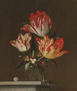 marellus_jakob-tulips_and_violets_in_a_vase_with_a_s~OM0f4300~10157_20080709_7610_190.jpg