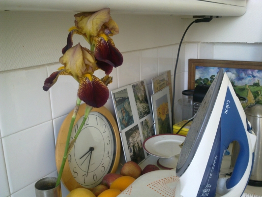 050620132311.jpg