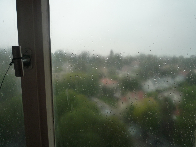 P1030500.JPG