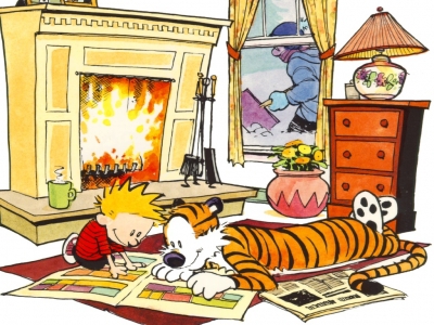 calvin-hobbes-naivete-cynisme-personnage-bd-prefere_19020.jpg