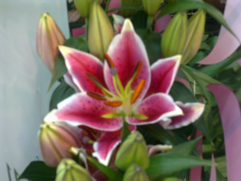 080620132326.jpg